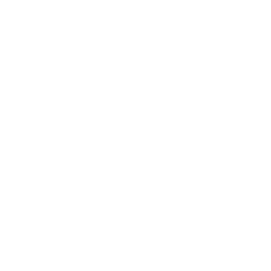 Projekt King